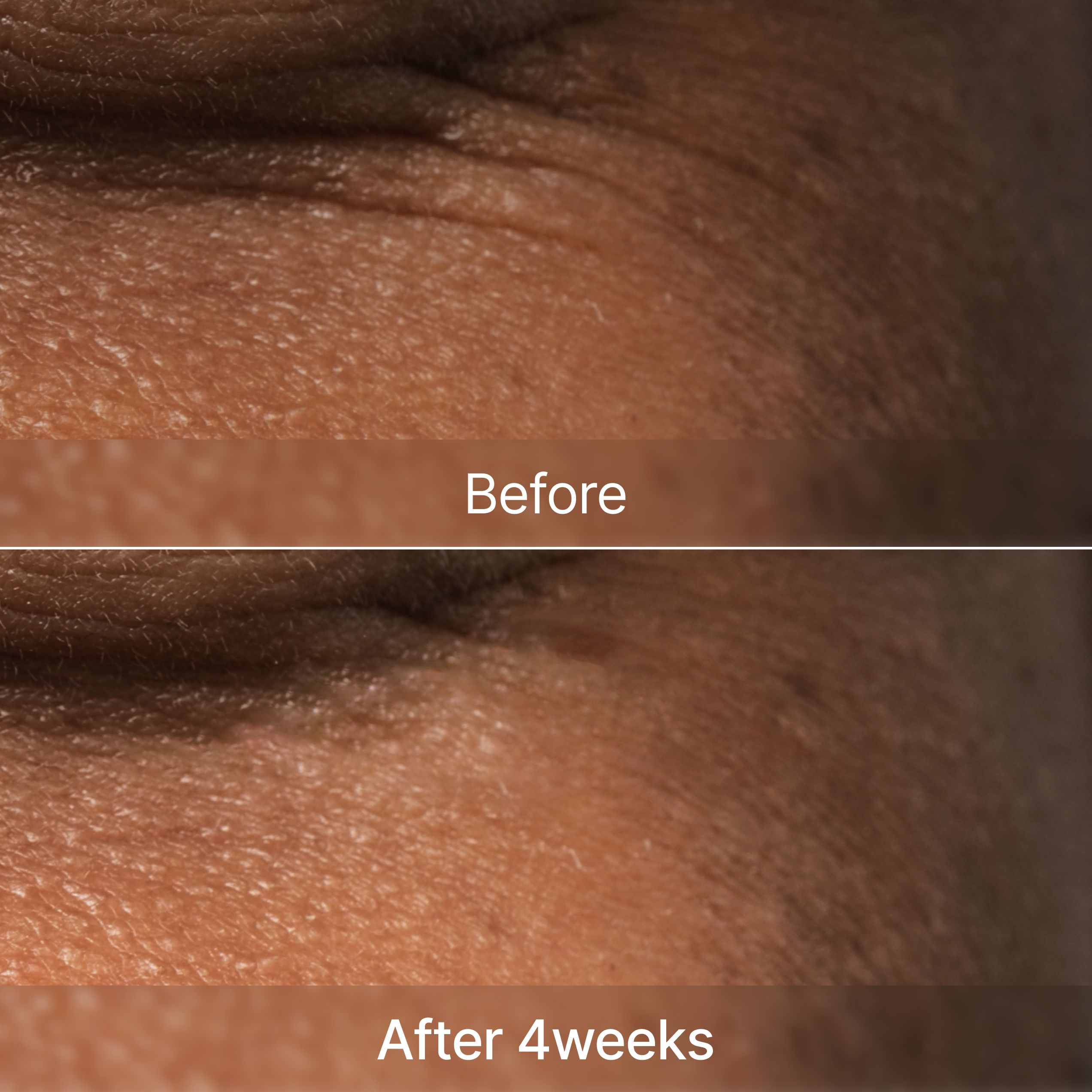 CARNOSINE A.R.B AGE-DEFYING Spicule Serum 30ml