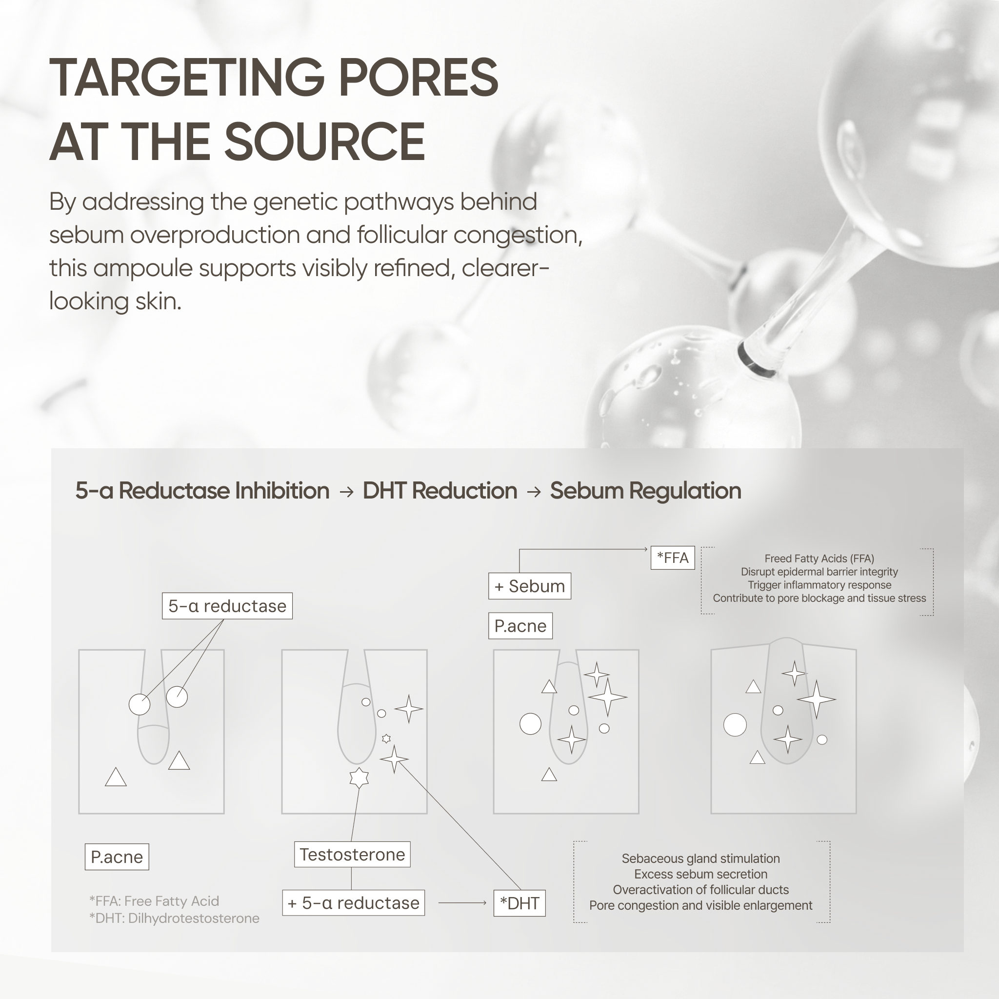 YYYLAB - Glass Skin Duo (ZINC-HAZEL Pore Minimizing Infusion + CARNOSINE PDRN Age Defying Complex)