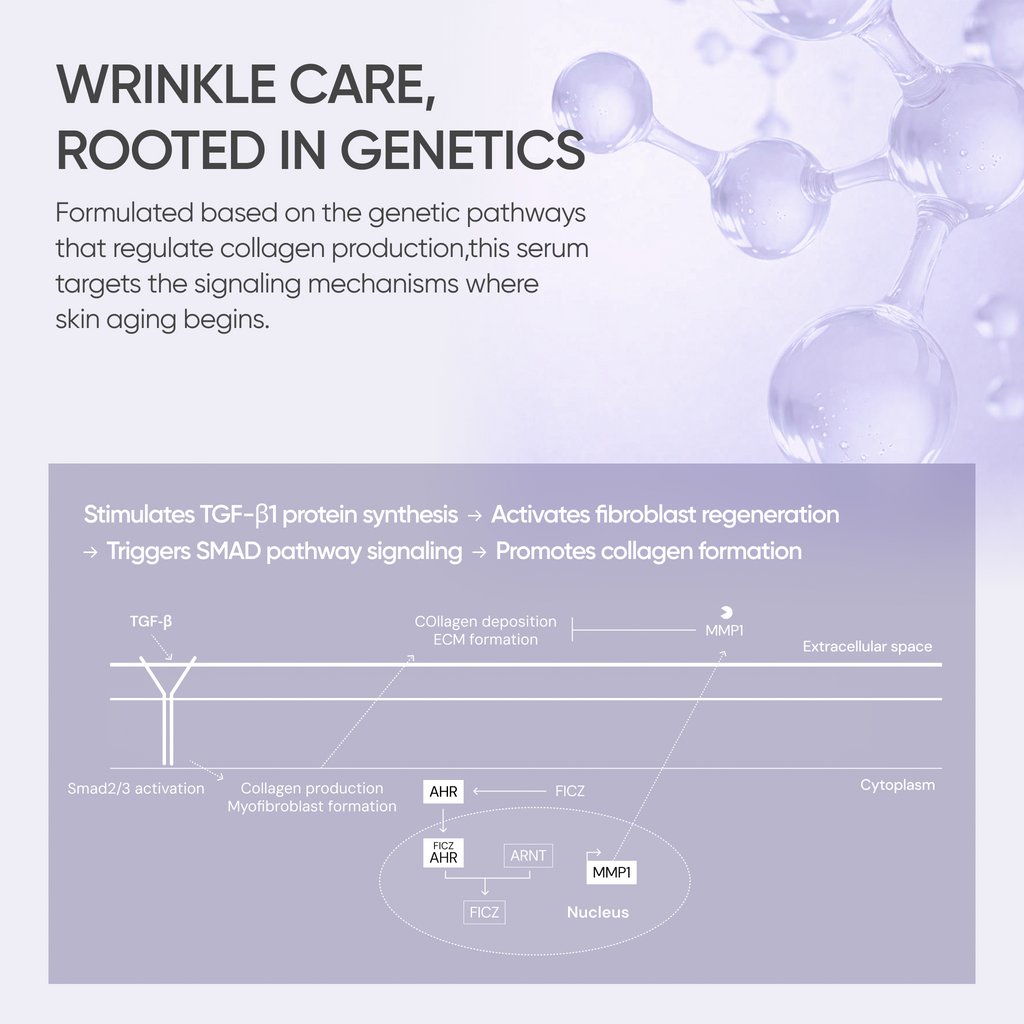 YYYLAB - CARNOSINE Double Repair SET (A.R.B Serum 30ml + Carnosine PDRN Cream 50ml)