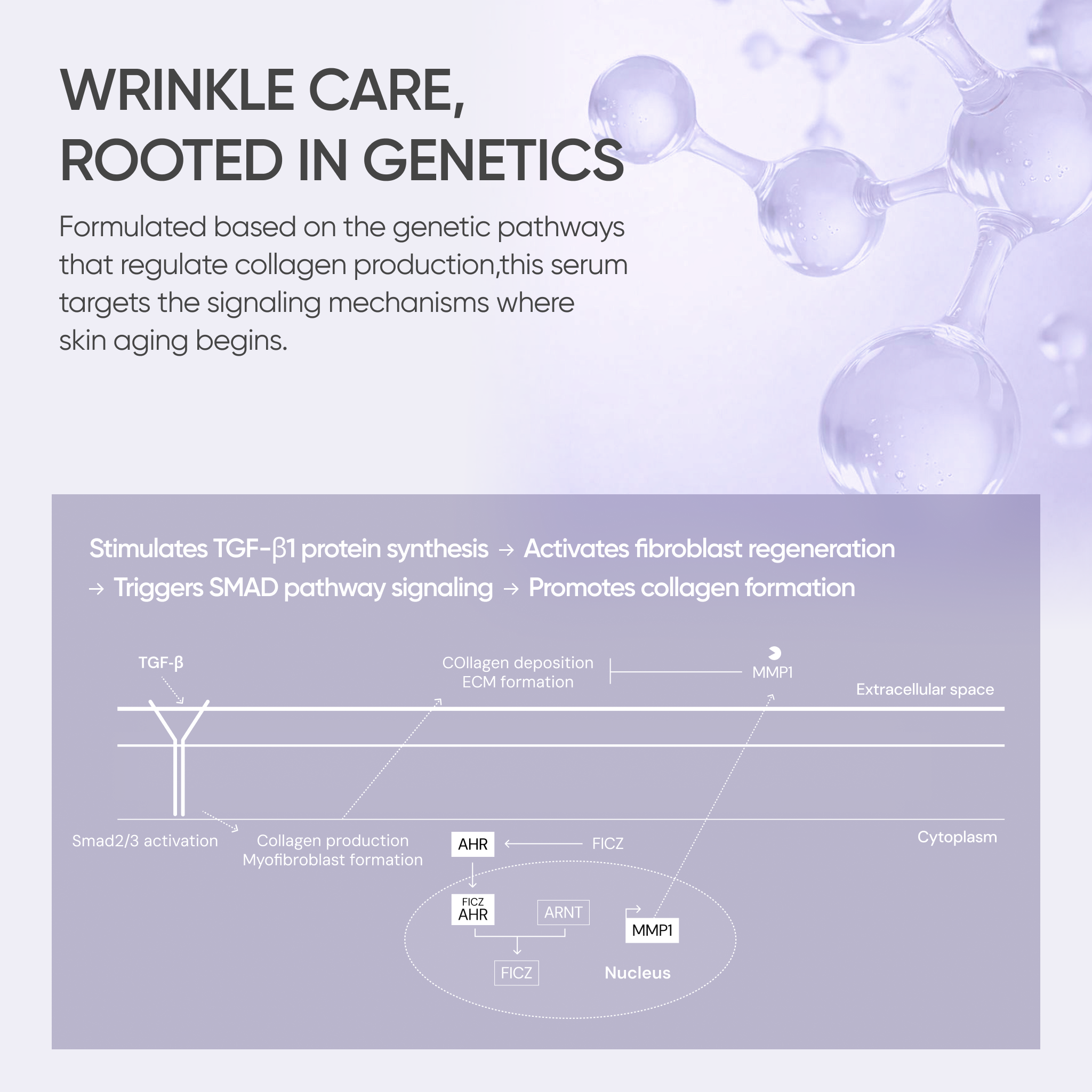 YYYLAB - CARNOSINE Double Repair SET (A.R.B Serum 30ml + Carnosine PDRN Cream 50ml)