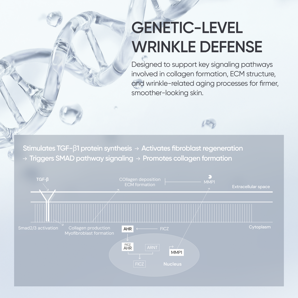 YYYLAB - Glass Skin Duo (ZINC-HAZEL Pore Minimizing Infusion + CARNOSINE PDRN Age Defying Complex)