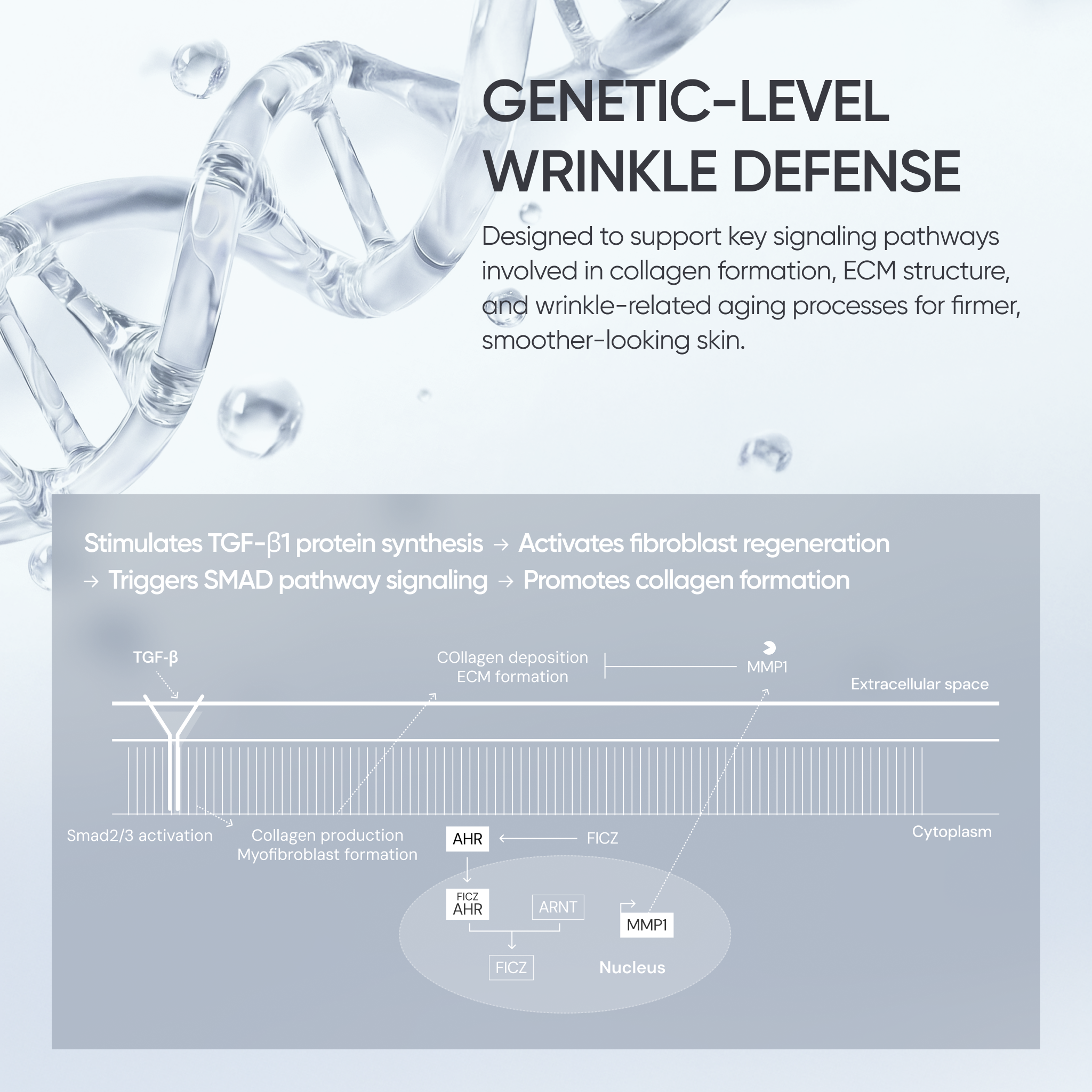 YYYLAB - Glass Skin Duo (ZINC-HAZEL Pore Minimizing Infusion + CARNOSINE PDRN Age Defying Complex)